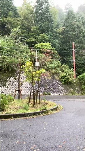 雨のヤビツ峠 #japan #景色綺麗 #自然