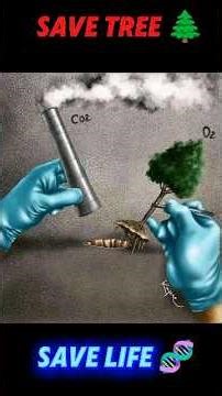 save tree🌲 save life 🧬#save #tree #savelife #life #sad #video #love #trees#shorts