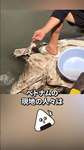 ベトナムのユニークな釣り方法