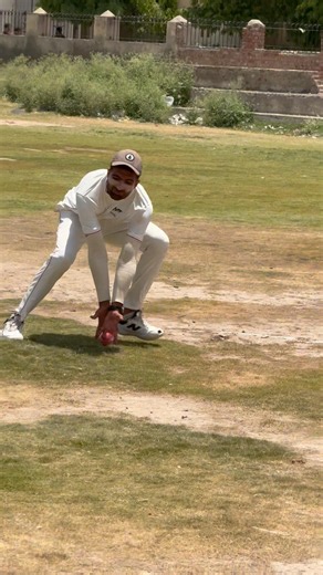 Would you CATCH?🤔 #cricket #hardballmatch #fielding