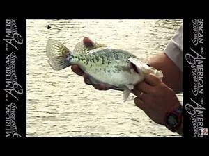 Crappie - Dealing with Spring Cold Fronts