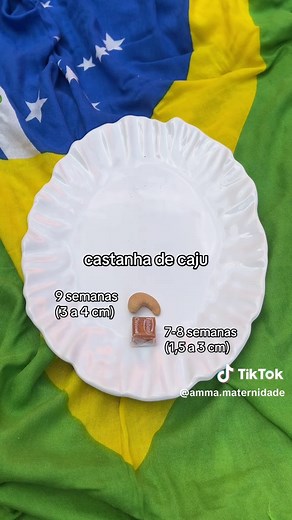 Tamanhos e Pesos do Feto na Gravidez Brasileira