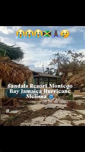For our Sandals Customers. Sandals is working tirelessly at restoring and repairing. Please me patient. If you have booked your stay with us, please rest assured that we keep you up to date. Prayers for Jamaica 🇯🇲 ❤️ | Cruise Planners - Loghomemomanddadtravel.com
