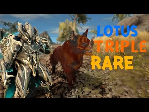 warframe kubrow lotus pattern omega (triple rare colors)