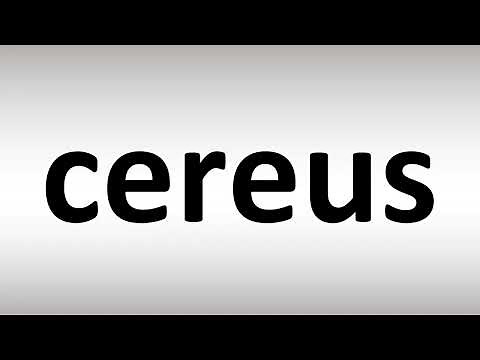 How to Pronounce cereus