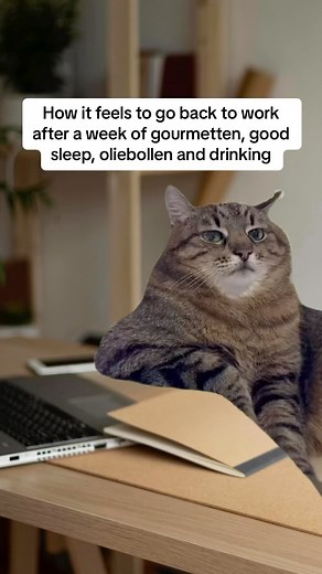 73K views · 96 reactions | DutchReview on Reels | Facebook