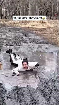 Wild & Clumsy 🐶 | Animal Fails That Made Our Day