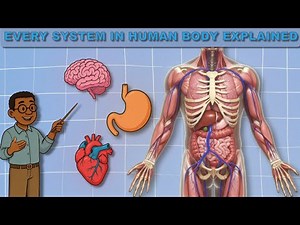 🧠 Every System In Human Body Explained | Part 1