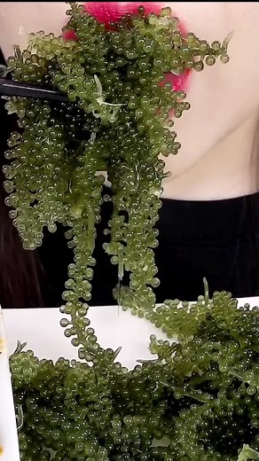 PTK ASMR သည် TikTok ပေါ်တွင် ရှိသည်