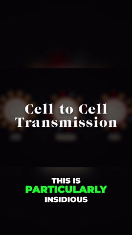 Viral Infection: How Viruses Evade Your Defenses