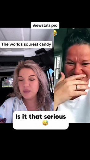 Maximize Your Online Profits with Viewstats Pro