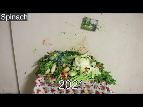 HowToBasic of Evolution 2011-2021 [S4E09]