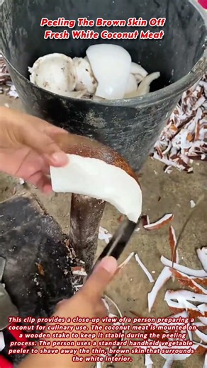 Peeling The Brown Skin Off Fresh White Coconut Meat