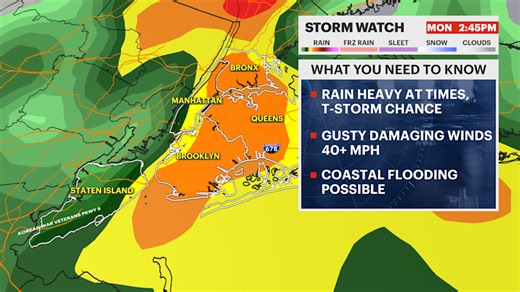 Storm watch: Heavy rain and gusty winds Monday in the Bronx