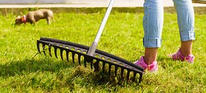 How to Dethatch Your Lawn in the Spring | DoItYourself.com