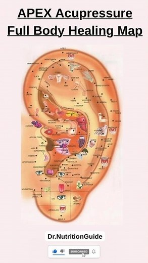 Complete APEX Acupressure Points for Full Body Healing & Organ Support!