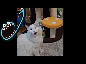 Jerma Streams - Hand of Fate 2 (Part 4)