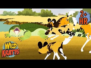 African Wild Dogs Vs Crocodile | Creature Combat | Animals for Kids | Wild Kratts