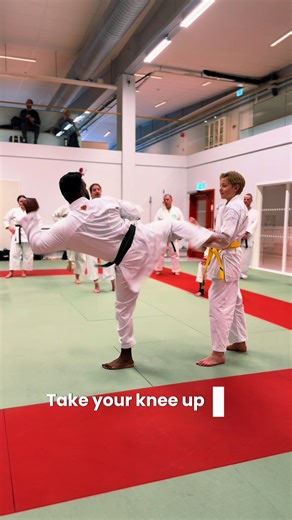 Karate Kumite Training Seminar in Umea, Sweden