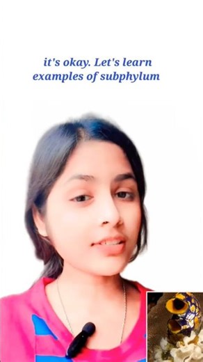 Urochordata Examples with Tricks |Animal Kingdom| Class 11th| #biology #neet ‪@Nirala_misscurious‬