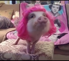 When You’re Ready for the One Direction Reunion!