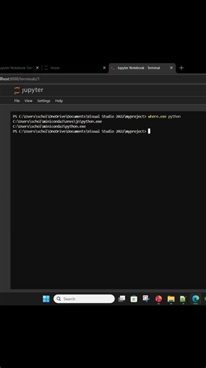 How to Check Python Location in Jupyter Notebook Terminal