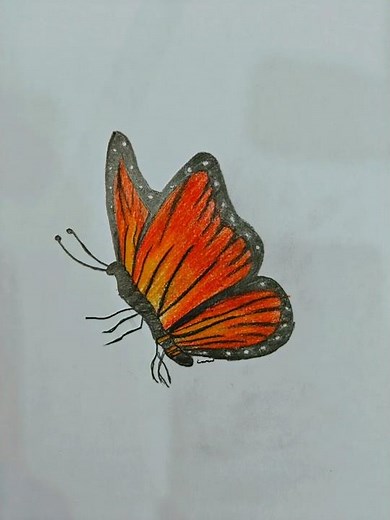 Drawing a Vibrant Monarch Butterfly | Colored Pencil Tutorial #Art #ButterflySketch #SatisfyingArt