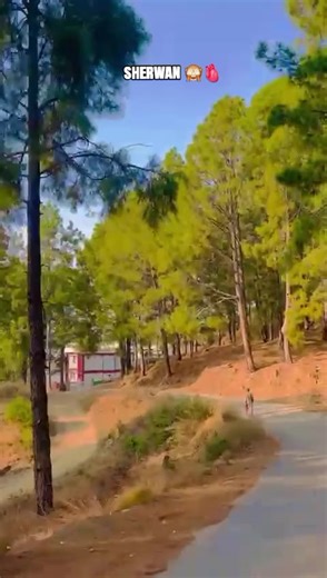 Explore Sherwan: A Guide to Abbottabad's Sherwan Hospital