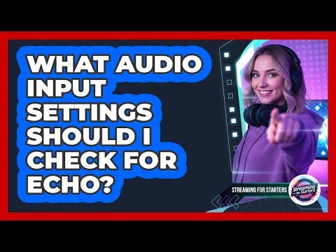 What Audio Input Settings Should I Check For Echo?