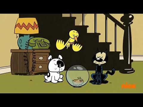 Pets Peeved (3/6) (The Loud House)