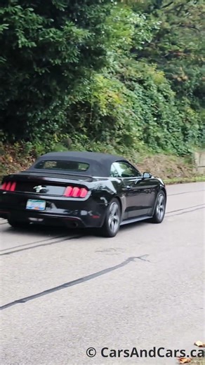 Ford Mustang #ford #shorts #mustang