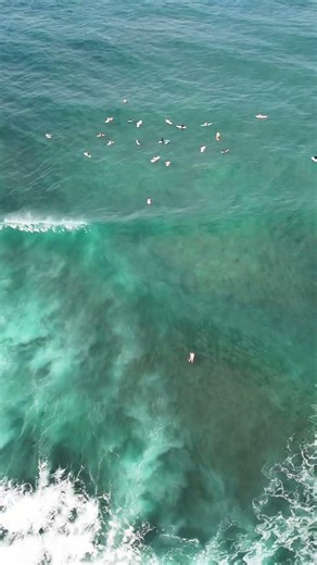 Let’s ZOOM OUT at Pua’ena Point Break #surfers #surfing #surf #waves #oahu #hawaii #ocean