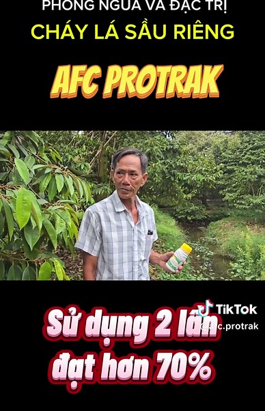 Phần 3: Chú 2 chia sẻ về hiệu quả của sản phẩm #Protrak sau 2 lần phun. Bộ lá khoẻ cũng là tiền đề cho cây sầu riêng có đủ sức khoẻ để nuôi bông, nuôi trái. AFC Protrak Kính chúc bà con có một mùa vụ bội thu ✨ #Protrak #xuhuong #fyp #foryou #saurieng #sauriengtiengiang #chayla #chaylasaurieng #afcprotrak