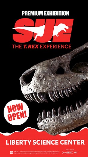 6K views · 84 reactions | Visit LSC to learn about SUE, the world's most famous T. rex fossil 練 in an unforgettable and massive exhibition | Liberty Science Center | Facebook