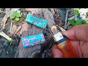 MERCON BURUNG CUUIIT DAN BANTING