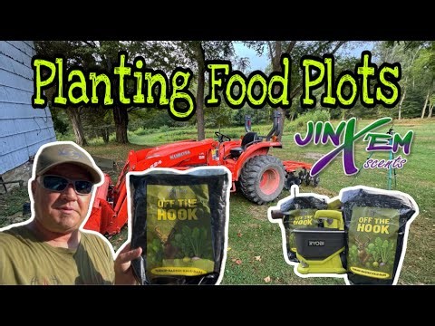 Deer Management| Planting the Best Food Plots for your Deer!
