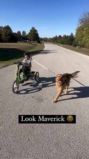 Just a boy and his dog. Roman is officially on dog walking duty or is Maverick walking Roman 🤔 | Defying Odds: Roman's Journey