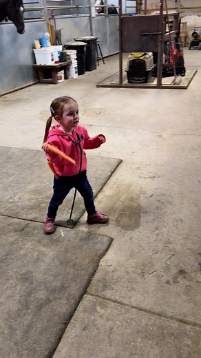 2M views · 54K reactions | Here’s to another video that blew up the internet! They called her their very own doc. McStuffin #viral #horses #fyp #grateful #horse | Swimmer2Winner | Facebook