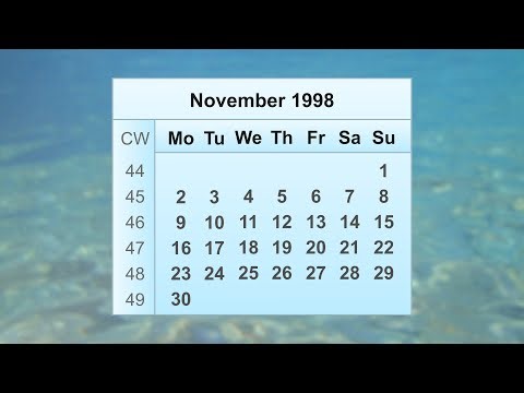 November 1998 Calendar