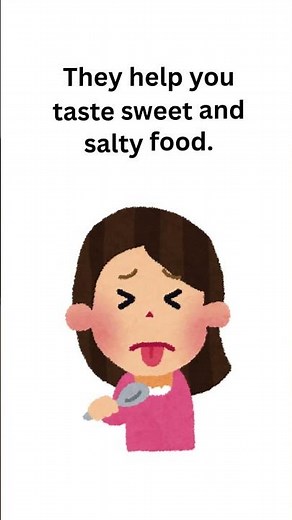 How Taste Buds Work in the Human Tongue?