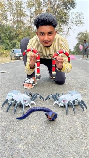 Suto suto Rc Snake And Remote Wala Spider Unboxing😍