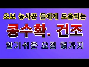 [텃빝농부.810] 초보도 알기쉬운 콩수확 하는 방법 #콩재배
