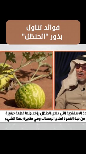 فوائد بذور الحنظل للصحة وطرق استخدامها