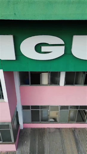 18K views · 894 reactions | Mangueira mais verde do que nunca!...