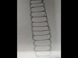 How to draw scolopendra // centipede with labelled diagram