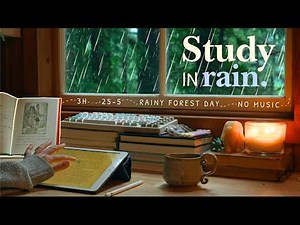 🌧️ 3 HOUR STUDY WITH ME / 🌲 Heavy Rain In The Forest / 25-5 / Rain Sounds / No Music / 🕯️ Cozy Focus