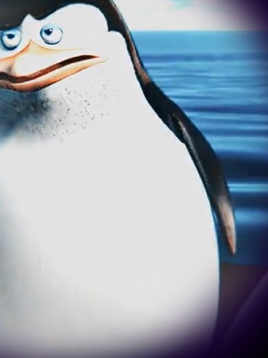 Skipper: Relatos de Machismo en la Venta Quincenal