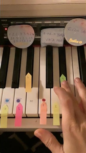 IA-MA-N BRAȚE VIATA MEA / FLORIN SALAM , ROBERTO | Piano tutorial EASY 