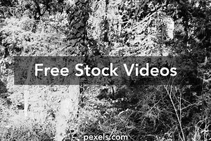 small%2Bjapanese%2Bschool%2Bgirls%2Bmedical%2Bexamminations