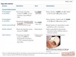 2 Microbiology BASIC Bacteriology Part 2